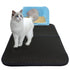 New Double Layer Larger Size Cat Litter Mat